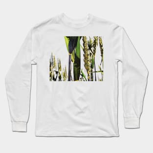 Wheat in the Field Long Sleeve T-Shirt
